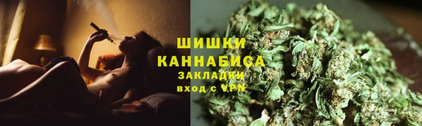 ПСИЛОЦИБИНОВЫЕ ГРИБЫ Арсеньев