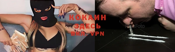 ПСИЛОЦИБИНОВЫЕ ГРИБЫ Арсеньев
