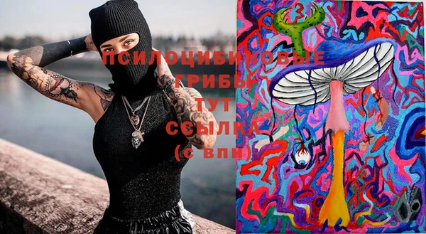 ПСИЛОЦИБИНОВЫЕ ГРИБЫ Арсеньев