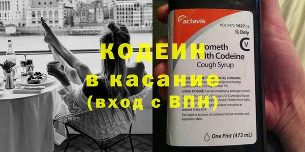 ПСИЛОЦИБИНОВЫЕ ГРИБЫ Арсеньев