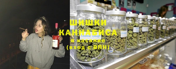ПСИЛОЦИБИНОВЫЕ ГРИБЫ Арсеньев