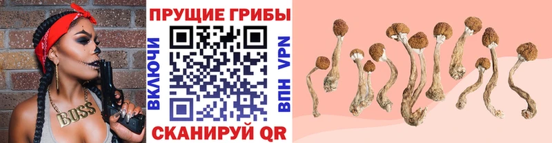 MEGA онион купить Оха Псилоцибиновые грибы мухоморы